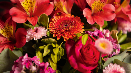 Floristwerkstätte goes online